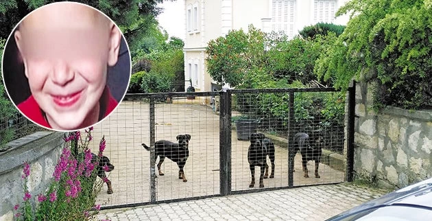 Δάκρυα και θλίψη στην Κοζάνη: Συγκλονίζει η μητέρα του πεντάχρονου Στάθη που κατασπάραξαν 8 ροτβάιλερ-Βίντεο